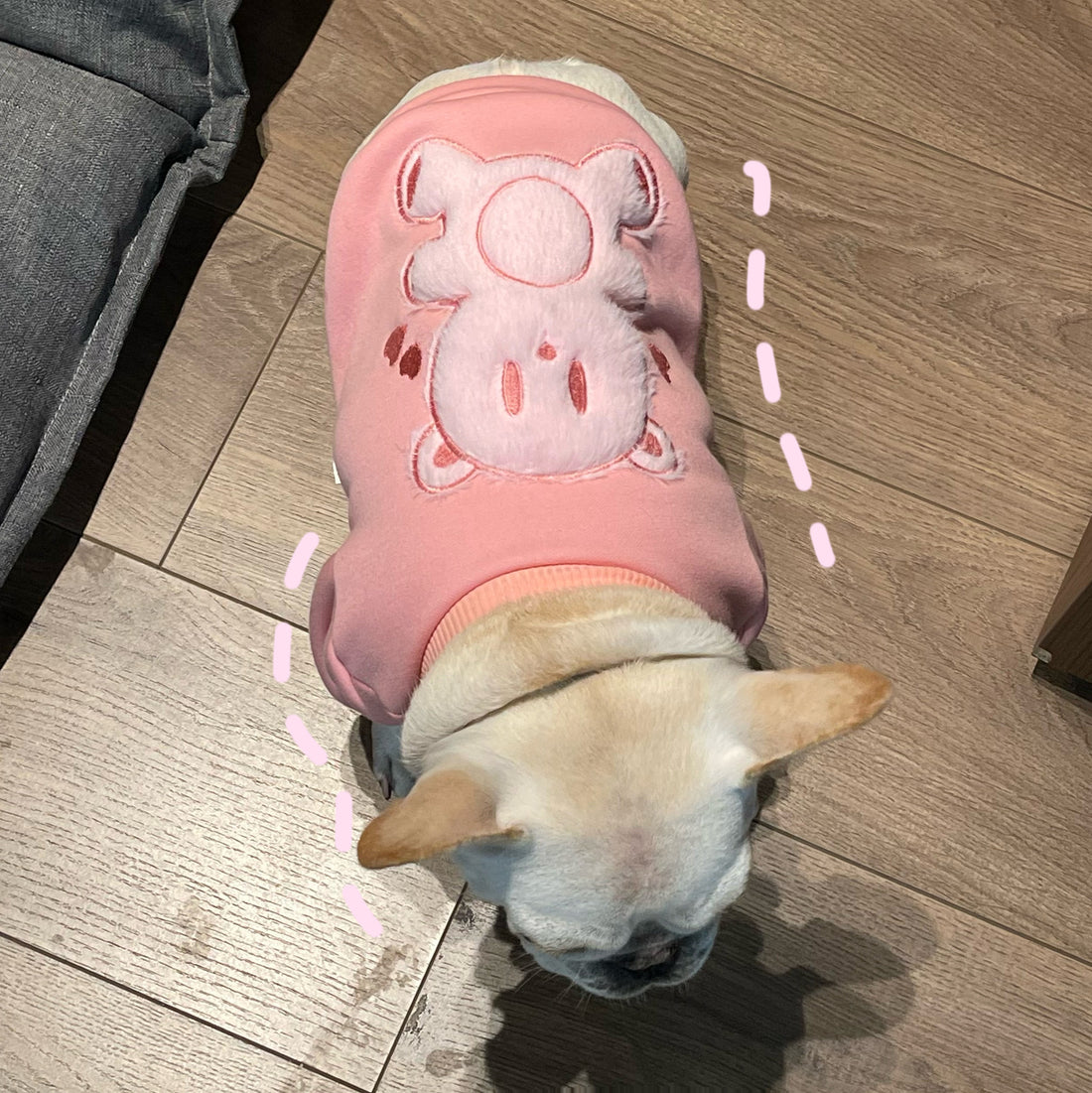 Plush Princess Pet Sweater Soft Comfortable Clothing For Pets