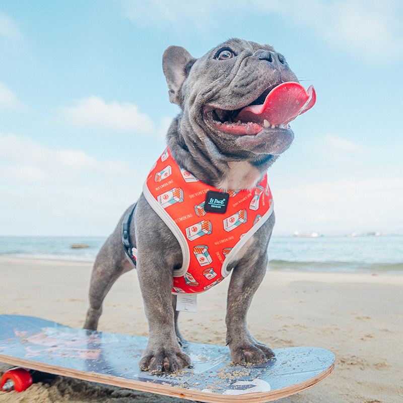 Adjustable Pet Chest Strap Harness With Leash