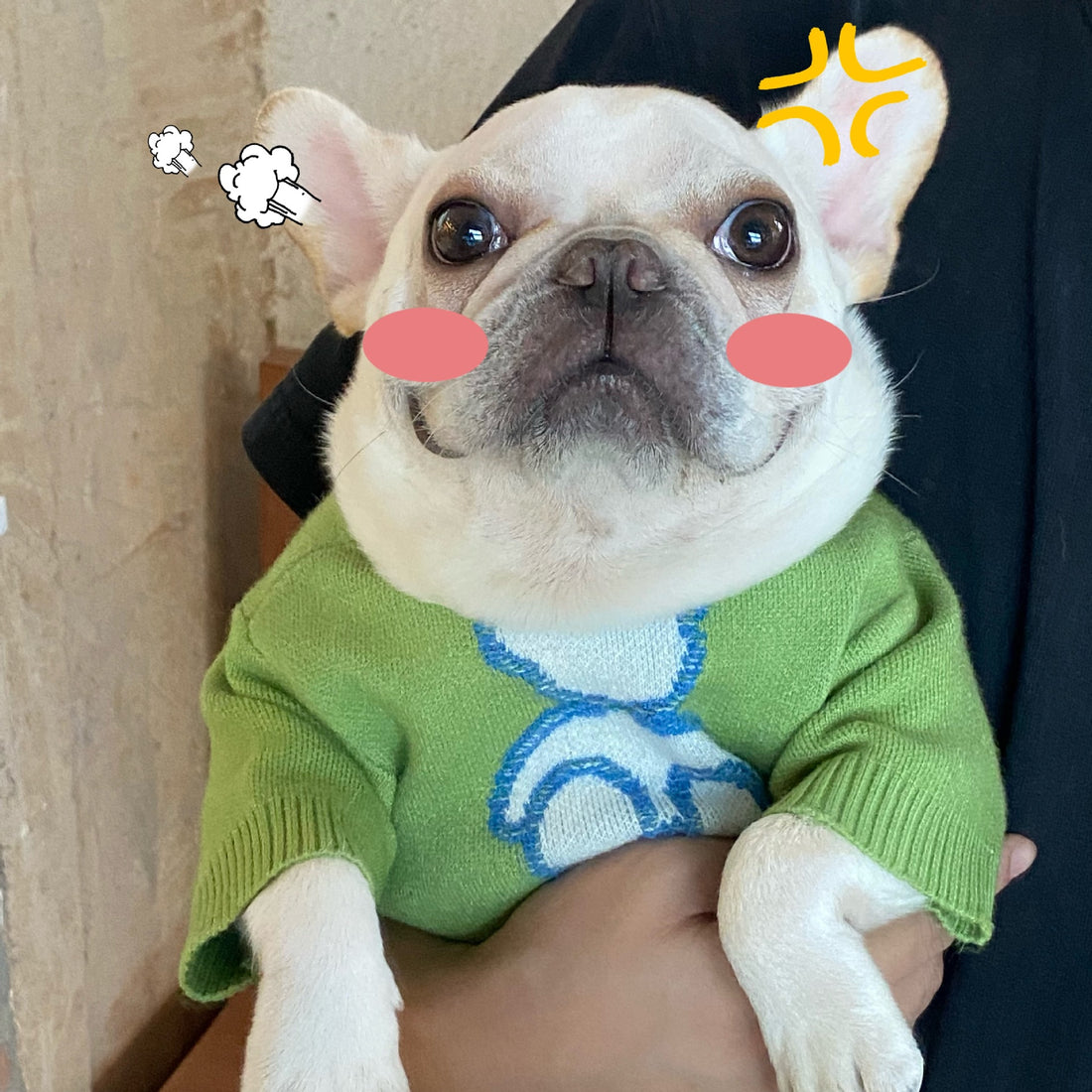 Fall Winter Pet Sweater Warm Comfortable Clothing For Pets