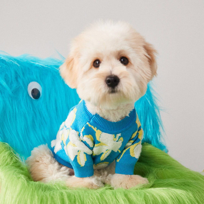 Warm Winter Two-Legged Pet Sweater Soft Comfortable Outfit