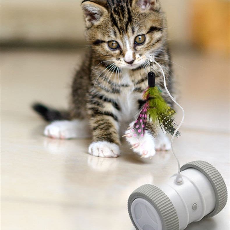 Automatic Multifunctional Electric Pet Roller Toy For Interactive Fun