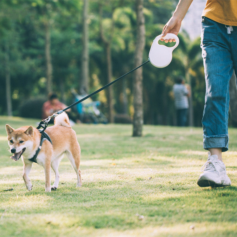 Retractable Pet Leash Adjustable For Small Medium And Large Breeds