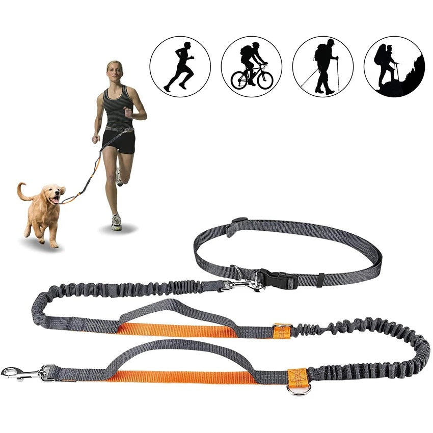 Adjustable Pet Harness And Jogging Leash Set