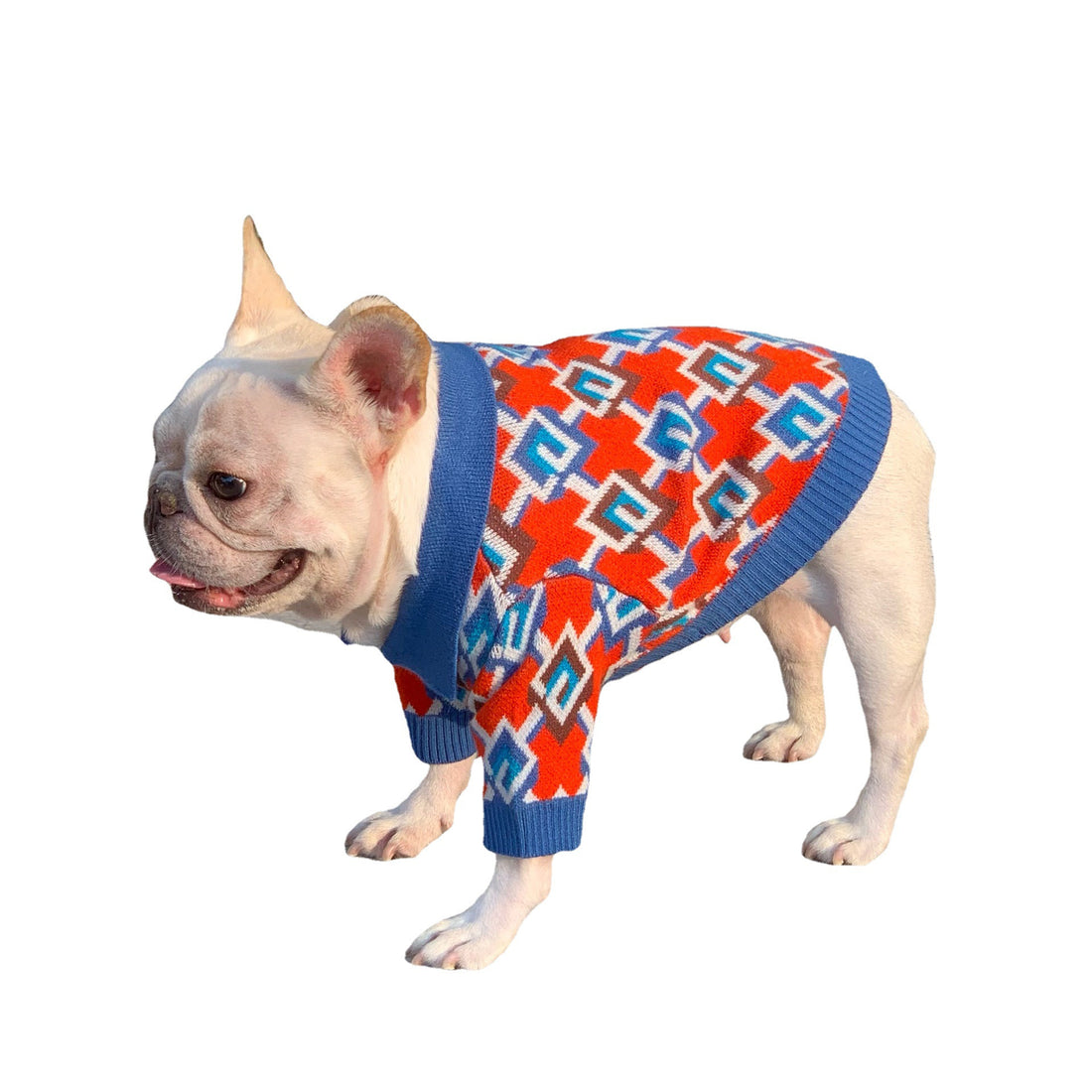Pet Fashion Brand Stylish Clothing Outfit For Pets