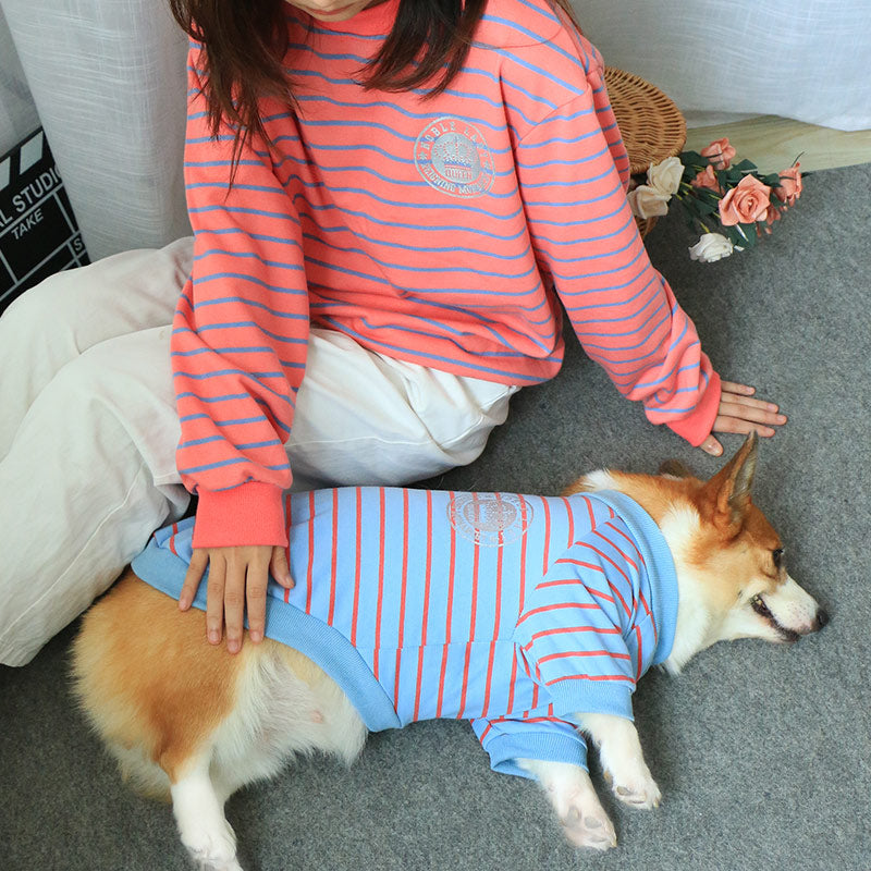 New Pet Sweater Matching Owner And Pet Outfit