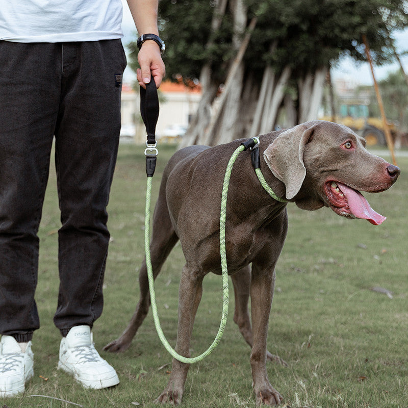 Fashion Simple Pet Leash Durable Anti-Break Design