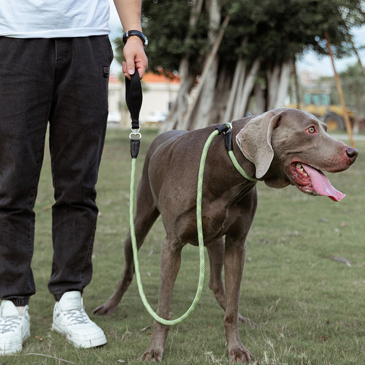 Fashion Simple Pet Leash Durable Anti-Break Design
