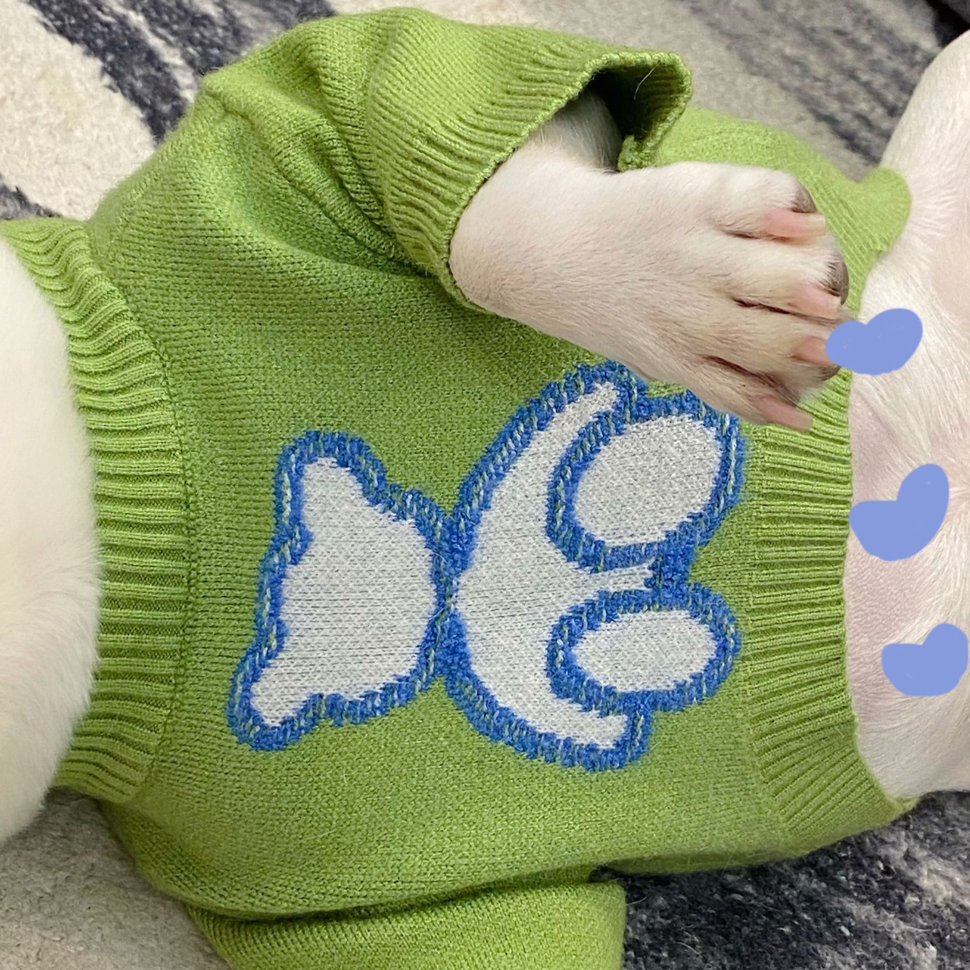 Fall Winter Pet Sweater Warm Comfortable Clothing For Pets