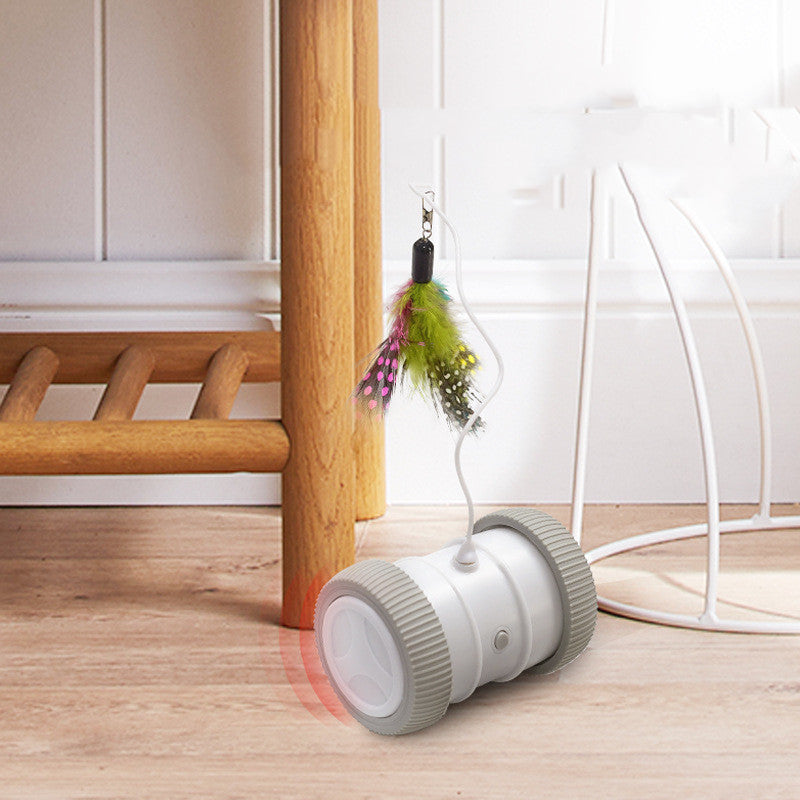 Automatic Multifunctional Electric Pet Roller Toy For Interactive Fun