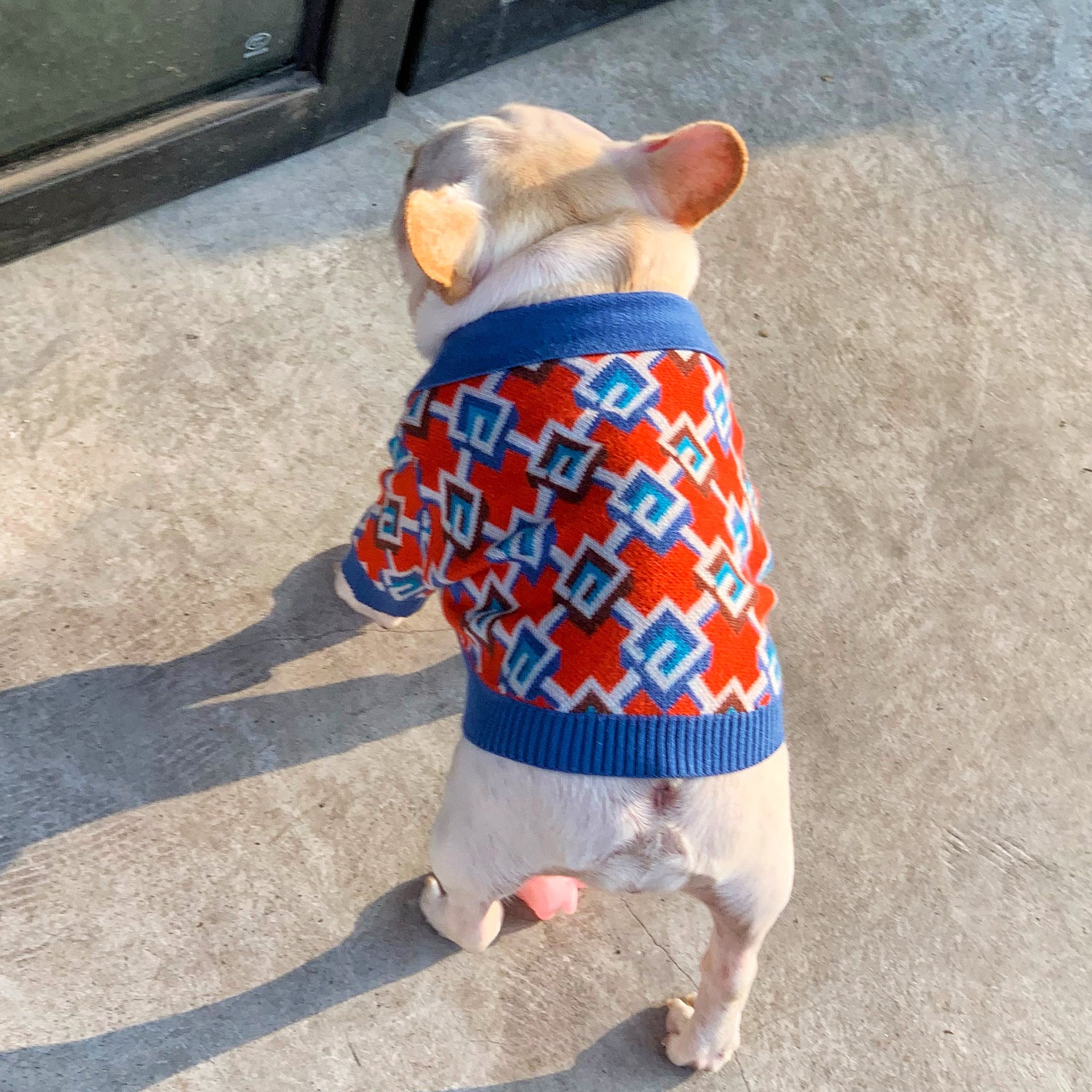 Pet Fashion Brand Stylish Clothing Outfit For Pets