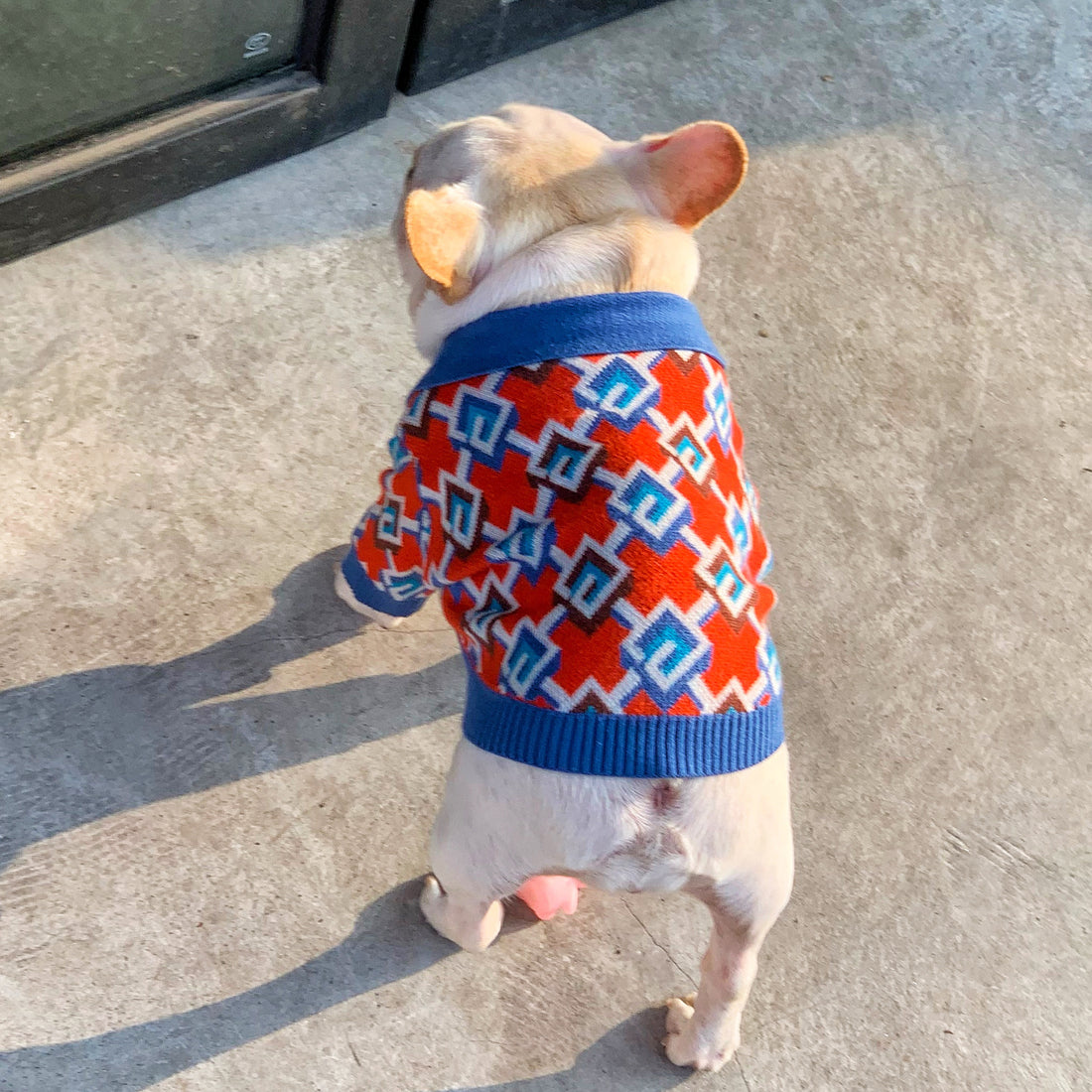 Pet Fashion Brand Stylish Clothing Outfit For Pets