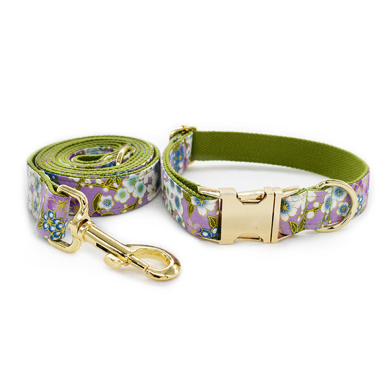 Purple Zephyr Pet Leash And Collar Set Stylish Durable