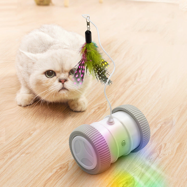 Automatic Multifunctional Electric Pet Roller Toy For Interactive Fun