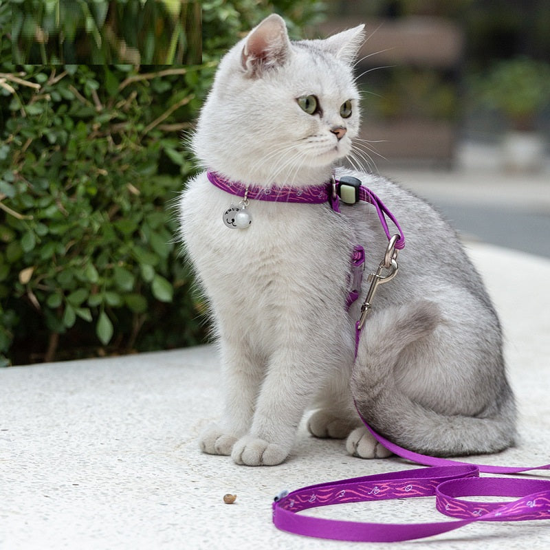 Pet Harness Vest With Bell And Chest Strap For Small Breeds