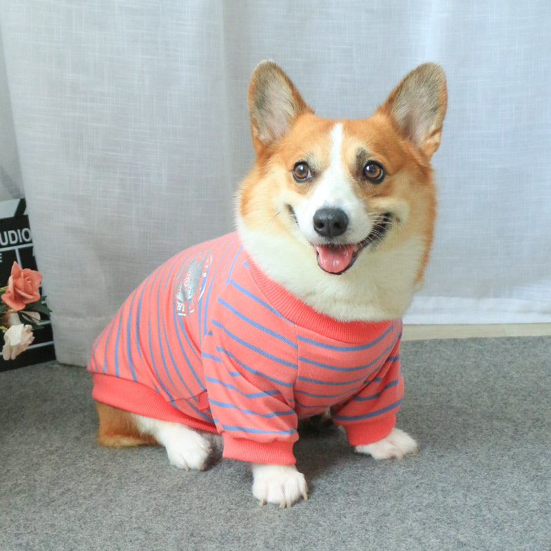 New Pet Sweater Matching Owner And Pet Outfit