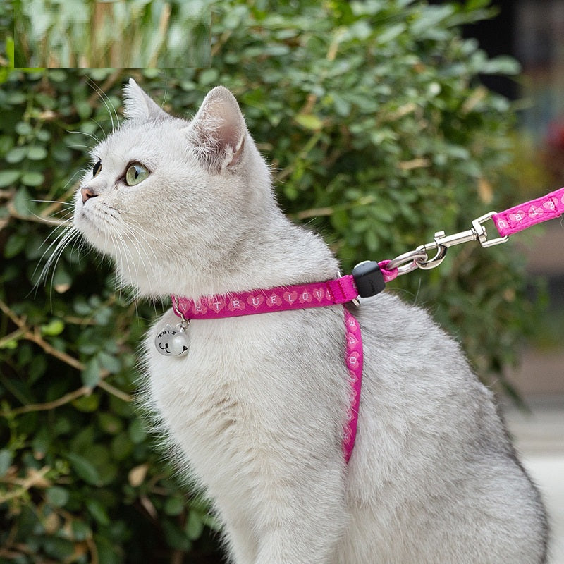 Pet Harness Vest With Bell And Chest Strap For Small Breeds