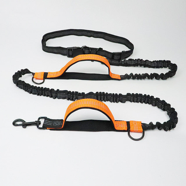 Adjustable Pet Harness And Jogging Leash Set