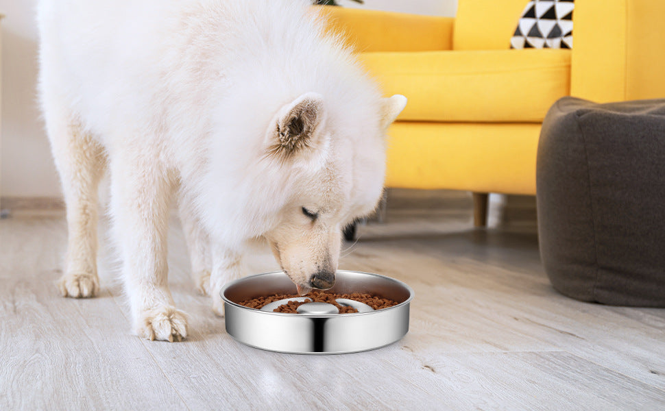 Pet Slow Feeding Bowl With Stainless Steel Neck Protection Guard