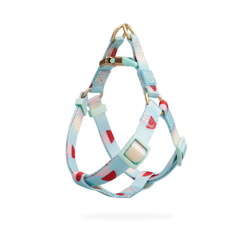 Fashion Y-Shaped Pet Chest Strap Harness With Leash