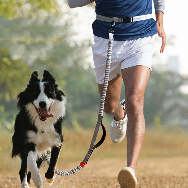 Outdoor Running Pet Leash Durable Comfortable Design
