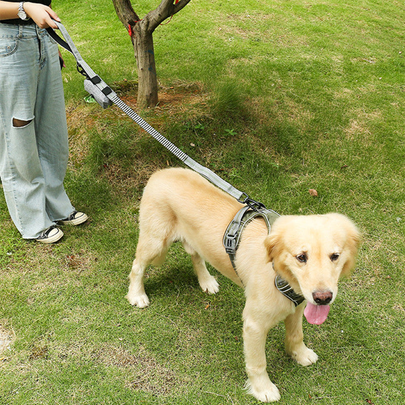 Fluorescent Elastic Retractable Pet Leash Durable Anti-Break Design